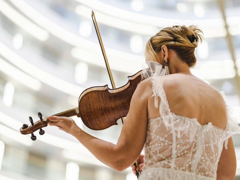 Enchanting Violinist
